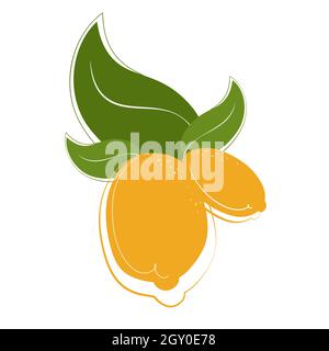 Citrons avec feuilles. Agrumes de style plat. Illustration de Vecteur