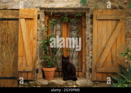 Chat noir assis à côté d'une plante en pot sur le rebord de la fenêtre avec des volets en bois ouverts dans le village d'EUS, dans le sud de la France