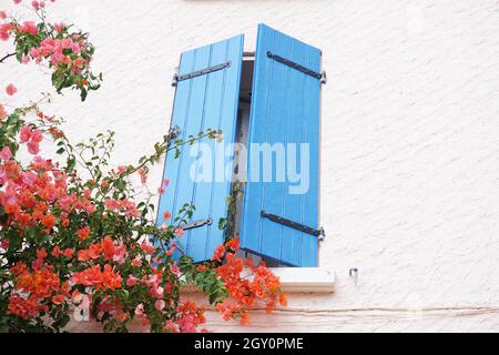 Volet de fenêtre en bois bleu dans la maison française ornée de fleurs rouges en fleur Banque D'Images
