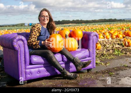 Citrouilles en vente à Parbold, Lancashire. Météo au Royaume-Uni ; 06 octobre 2021. Alison of Holmeswood Farm apporte la touche finale à l'attraction de la ferme pour Halloween. Pulvérisez des balles de paille peintes à l'entrée de la ferme bientôt pour accueillir les visiteurs à mi-parcours et profiter des délices de la cueillette des citrouilles d'octobre. Banque D'Images