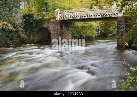 Vue automnale de la rivière Barle passant sous le pont de marais de fer juste au nord de Dulverton, Somerset, Angleterre, Royaume-Uni Banque D'Images