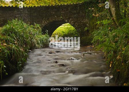 Vue automnale d'un ruisseau passant sous un petit pont en pierre pour rejoindre la rivière Barle au pont Marsh juste au nord de Dulverton, Somerset, Angleterre, Royaume-Uni Banque D'Images