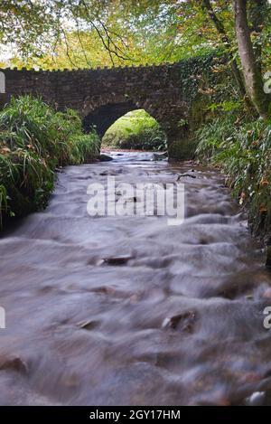 Vue automnale d'un ruisseau passant sous un petit pont en pierre pour rejoindre la rivière Barle au pont Marsh juste au nord de Dulverton, Somerset, Angleterre, Royaume-Uni Banque D'Images