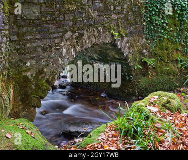 Vue automnale d'un ruisseau passant sous un petit pont en pierre pour rejoindre la rivière Barle au pont Marsh juste au nord de Dulverton, Somerset, Angleterre, Royaume-Uni Banque D'Images