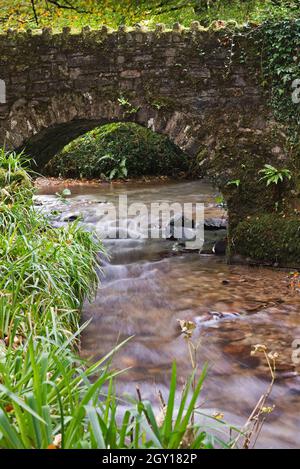 Vue automnale d'un ruisseau passant sous un petit pont en pierre pour rejoindre la rivière Barle au pont Marsh juste au nord de Dulverton, Somerset, Angleterre, Royaume-Uni Banque D'Images