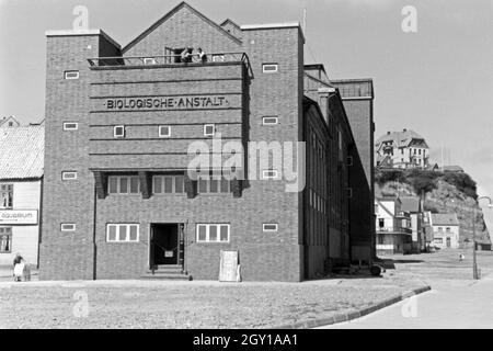 Die Biologische Anstalt Helgoland, Deutschland 1930 er Jahre. Biologische Anstalt, Institut pour la recherche biologique à l'île d'Helgoland, Allemagne 1930. Banque D'Images