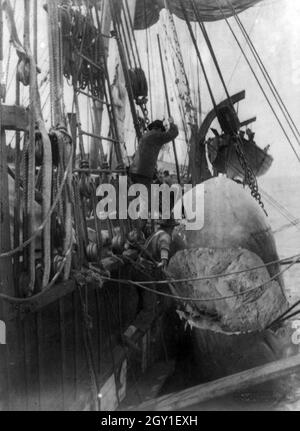 Photo vintage vers 1903 d'hommes coupant la carcasse d'un cachalot mort à bord d'un navire de chasse au large de New Bedford, Massachusetts Banque D'Images