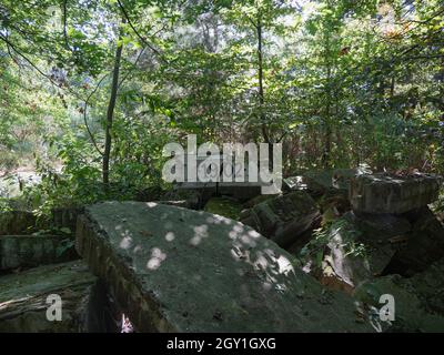 Vestiges d'une maison abandonnée effondrée au milieu d'une forêt construite en 1902 avec une pierre brisée indiquant l'année Banque D'Images