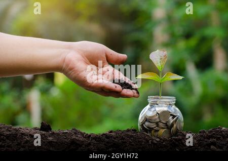 Mettre de l'argent main Billets Bouteille Image de l'arbre avec des billets de banque d'affaires de plus en plus sur le haut fond naturel vert l'économie d'argent et d'investissement fi Banque D'Images