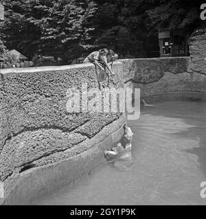 Drei junge Frauen am Eisbärgehege Zoobesuich die beim, Deutschland 1930 er Jahre. Trois jeunes femme visiter un jardin zoologique et voir l'ourse polaire composé, Allemagne 1930. Banque D'Images