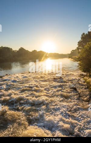 Szigetköz (petite île de Rye, Kleine Schüttinsel): Anabranch, bras du Danube, lever du soleil à , Györ-Moson-Sopron, Hongrie Banque D'Images