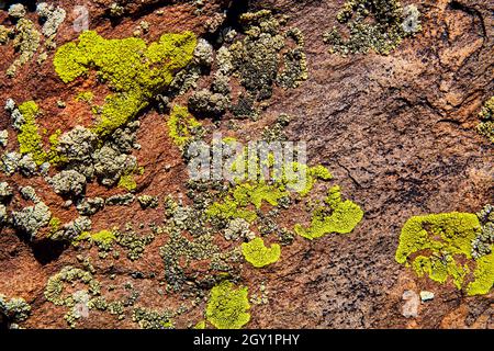 Texture de la roche avec de la mousse et du lichen Banque D'Images