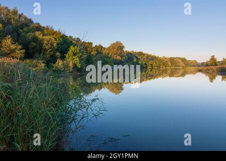 Szigetköz (petite île de Rye, Kleine Schüttinsel) : anabranch, bras du Danube, forêt à Györ-Moson-Sopron, Hongrie Banque D'Images