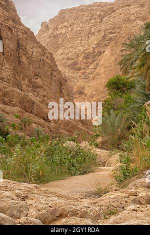 Canyon de la rivière Wadi Shab avec falaises rocheuses , Sultanat d'Oman Banque D'Images