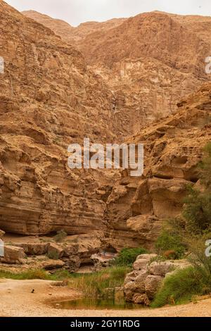 Canyon de la rivière Wadi Shab avec falaises rocheuses , Sultanat d'Oman Banque D'Images