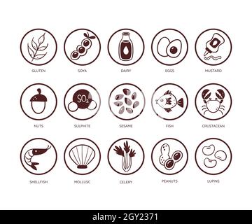 Ensemble d'icônes allergènes alimentaires. Icônes des principaux ingrédients qui doivent être déclarés comme allergènes. Très utile pour les menus et les repas du restaurant. VE monochromatique Illustration de Vecteur