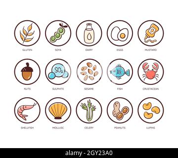 Ensemble d'icônes allergènes alimentaires. Icônes des principaux ingrédients qui doivent être déclarés comme allergènes. Très utile pour les menus et les repas du restaurant. Vecteur coloré Illustration de Vecteur