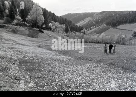 Wanderer Feld auf einem im Donautal bei Wildenstein, Deutschland 1930 er Jahre. Les randonneurs debout sur un champ dans le Danube Dale, Allemagne 1930. Banque D'Images