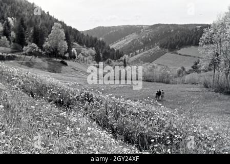 Wanderer Feld auf einem im Donautal bei Wildenstein, Deutschland 1930 er Jahre. Les randonneurs debout sur un champ dans le Danube Dale, Allemagne 1930. Banque D'Images