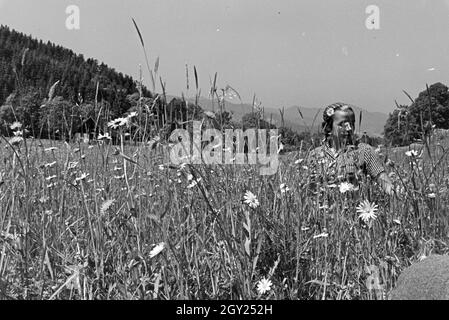 Eine junge Frau auf einer Wiese im Schwarzwald, Deutschland 1930er Jahre. Une jeune femme couchée sur une prairie de la Forêt-Noire, Allemagne 1930. Banque D'Images