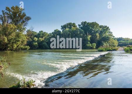 Zitny ostrov (Grande île de Rye, Große Schüttinsel) : anabranch, bras du Danube, forêt dans la luhy de Dunajske (plaines inondables du Danube), , Slovaquie Banque D'Images