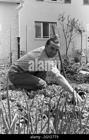 Der Autorennfahrer Hermann Lang bei der Gartenarbeit, Deutschland 1930 er Jahre. Le pilote de course Hermann Lang fait quelques travaux de jardinage, de l'Allemagne des années 1930. Banque D'Images