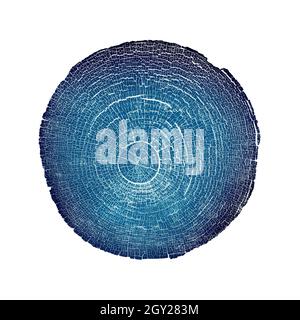 Photo bleu profond d'une tranche d'arbre coupée avec des anneaux et une texture organique.Impression monotone de l'arbre en bois pressé. Banque D'Images