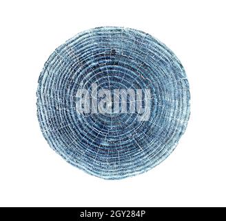 Photo bleu profond d'une tranche d'arbre coupée avec des anneaux et une texture organique.Impression monotone de l'arbre en bois pressé. Banque D'Images