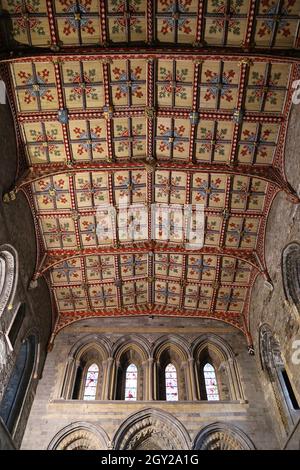 Plafond en bois peint sculpté au-dessus de l'autel, cathédrale Saint-David, Pembrokeshire, pays de Galles, Royaume-Uni,Royaume-Uni, Europe Banque D'Images