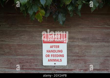 Un panneau sur le côté d'une grange qui indique « Veuillez vous être mis les mains après avoir manipulé ou allaiter des animaux ». Banque D'Images