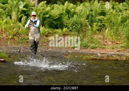 Pêche récréative à la mouche pendant la course du saumon rouge, Russian River, Kenai Peninsula, Alaska, États-Unis Banque D'Images