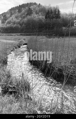 Ein Ausflug in den Odenwald, Deutsches Reich 1930er Jahre. Une excursion à la forêt des Odes, Allemagne 1930. Banque D'Images