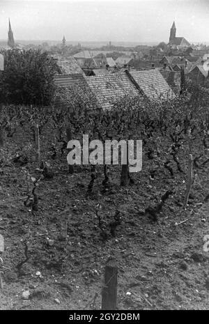 Ein Ausflug nach Deidesheim in der Pfalz, Deutsches Reich 1930er Jahre. Une excursion à Deidesheim dans le Palatinat, Allemagne 1930. Banque D'Images