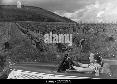 Ein Ausflug zur Weinstraße in der Pfalz, Deutsches Reich 1930er Jahre. Une excursion à la Route des Vins allemande dans le Palatinat, Allemagne 1930. Banque D'Images