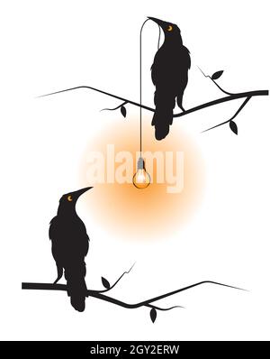 Ampoule de retenue d'oiseau Raven sur branche, Vector.Illustration d'oiseau corbeau isolée sur fond blanc.Art mural, illustrations, décalques muraux Illustration de Vecteur