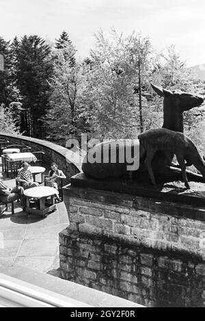 Ein Ausflug Zum Schloss Bühlerhöhe im Schwarzwald, Deutsches Reich 1930er Jahre. Un voyage à Bühlerhöhe château dans la Forêt-Noire, Allemagne 1930. Banque D'Images