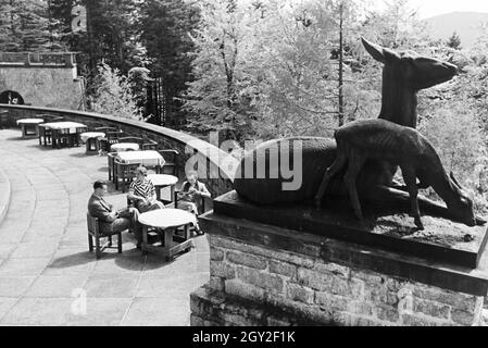 Ein Ausflug Zum Schloss Bühlerhöhe im Schwarzwald, Deutsches Reich 1930er Jahre. Un voyage à Bühlerhöhe château dans la Forêt-Noire, Allemagne 1930. Banque D'Images