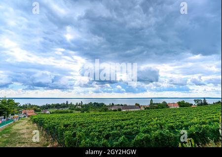 BADACSONY, HONGRIE - 18 SEPTEMBRE 2021 : vue sur les nuages au-dessus du lac Balaton et du vignoble par une journée ensoleillée à Badacsony, Hongrie. Banque D'Images