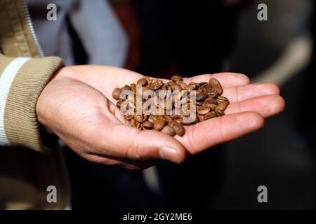 Sanaa, Yémen. 6 octobre 2021. Un homme tient des grains de café dans sa main à une foire de café pour promouvoir le café yéménite à Sanaa, Yémen, le 6 octobre 2021. Credit: Mohammed Mohammed/Xinhua/Alay Live News Banque D'Images