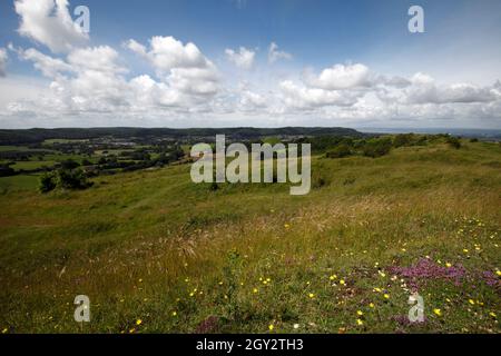 CAM long vers le bas, Uley, Dursley, marche, promenades,Marche, campagne, Gloucestershire. Banque D'Images