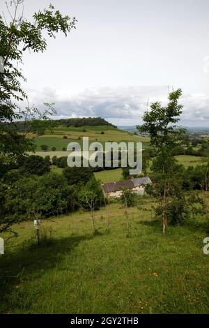 CAM long vers le bas, Uley, Dursley, marche, promenades,Marche, campagne, Gloucestershire. Banque D'Images