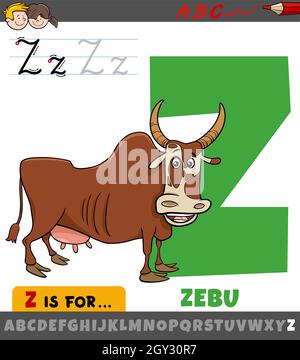 Illustration de dessin animé éducatif de la lettre Z de l'alphabet avec le caractère animal de zebu pour les enfants Illustration de Vecteur