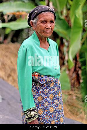 Une vieille femme avec sarong bleu, haut vert et foulard dans la route avec des bananiers en arrière-plan dans la vallée de Harau, Sumatra Ouest, Indonésie. Banque D'Images