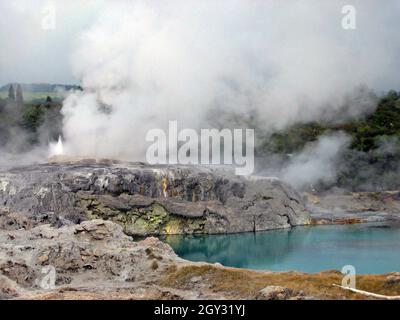 Pohutu Geyser laisse la vapeur dans le paysage géothermique de Rotorua, en Nouvelle-Zélande.L'eau bleue sous la base de geyserite du geyser est un endroit populaire, appelé le Blueis, où les Maoris peuvent nager pendant l'été.La région fait partie de la zone volcanique de Taupo située dans la ville de Rotorua qui est située dans le cratère d'un volcan dormant. Banque D'Images