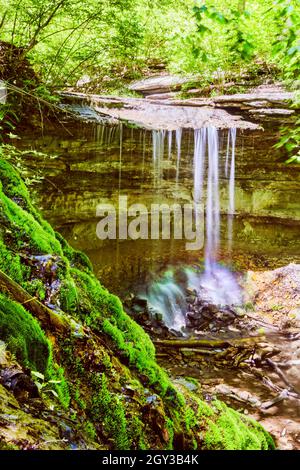 Colline moussy avec chute d'eau en arrière-plan sur les falaises Banque D'Images