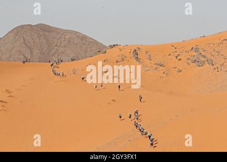 Etape mystère.6 octobre 2021.Marathon des Sables, stade 4 d'un ultra-marathon de six jours, 251 km, soit environ la distance de six marathons réguliers.La plus longue étape est de 82 km de long.Cette course de plusieurs jours se déroule chaque année dans le sud du Maroc, dans le désert du Sahara.Crédit : action plus Sports/Alamy Live News Banque D'Images