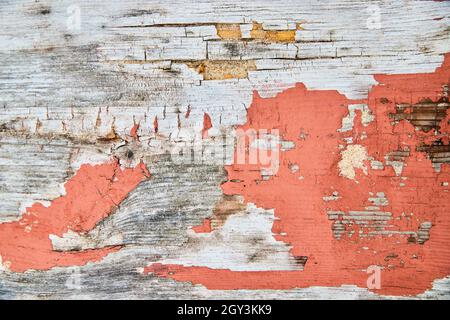 Texture bois écaillée avec orange Banque D'Images