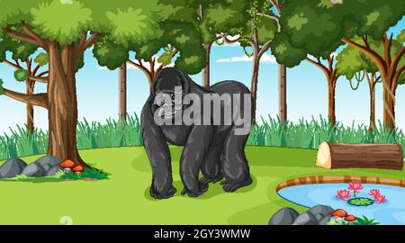 Gorilla dans la forêt ou la forêt tropicale scène avec de nombreux arbres illustration Illustration de Vecteur