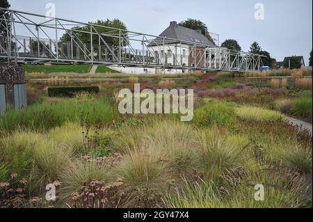 BOTTROP, ALLEMAGNE - 21 AOÛT 2021 : plantation dans un style de prairie vivace conçu par Piet Oudolf dans le parc public de Berne Banque D'Images