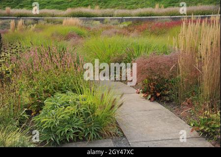 BOTTROP, ALLEMAGNE - 21 AOÛT 2021 : plantation dans un style de prairie vivace conçu par Piet Oudolf dans le parc public de Berne Banque D'Images